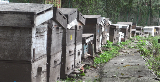 1612237828611524.png image.png